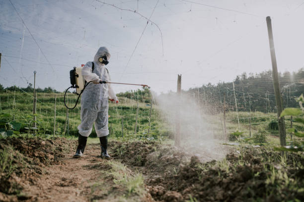 Best Wasp Removal Services  in La Harpe, IL