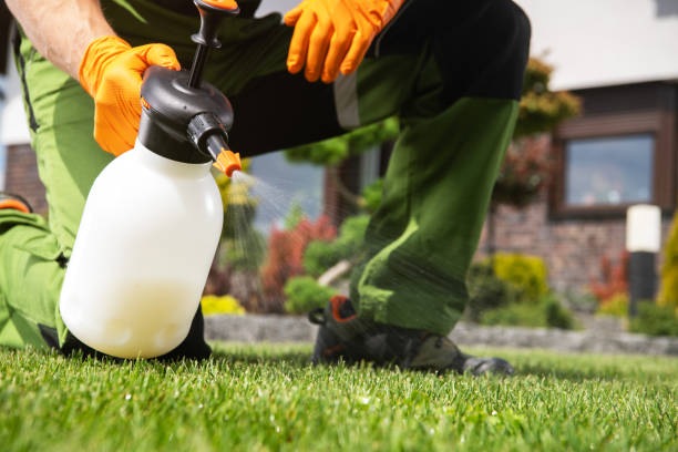 Best Bed Bug Extermination  in La Harpe, IL