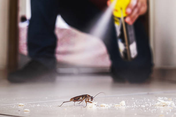  La Harpe, IL Pest Control Pros