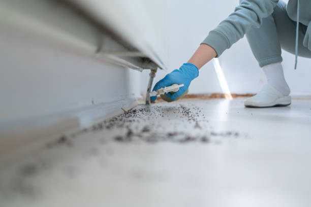 Best Pest Control for Restaurants  in La Harpe, IL