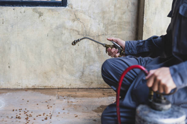 Best Best Pest Control Companies  in La Harpe, IL