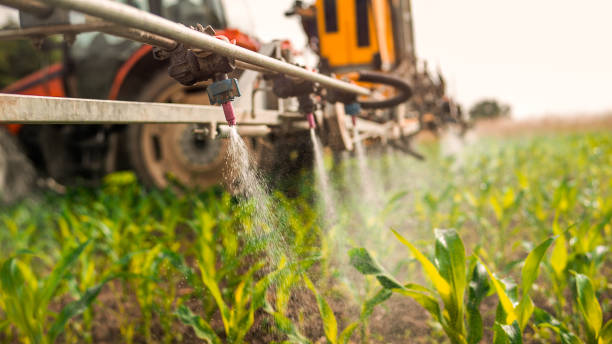 Best Local Pest Control Services  in La Harpe, IL